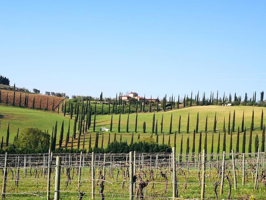 Castello Di Fulignano Ottone Superior Apartment San Gimignano Esterno foto